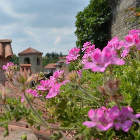 Dimora Storico Romantica Il Sole E La Luna Cerretto Langhe Zewnętrze zdjęcie